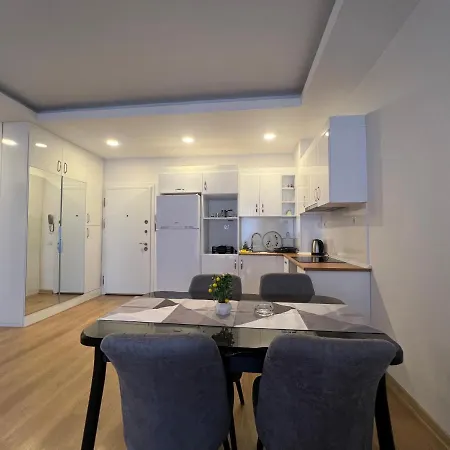 Cozy Homes 1 1 Living Daire İstanbul