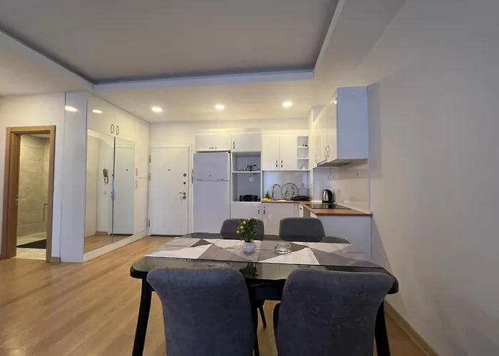 Cozy Homes 1 1 Living Apartment Istanbul