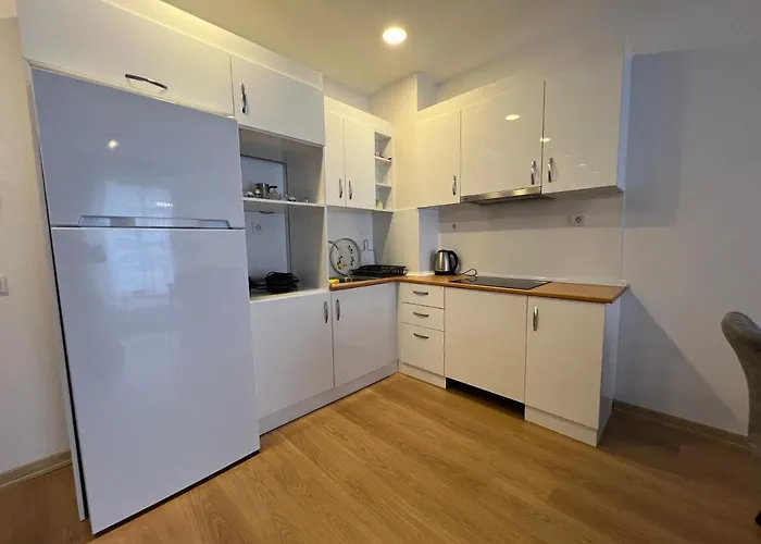 Cozy Homes 1 1 Living