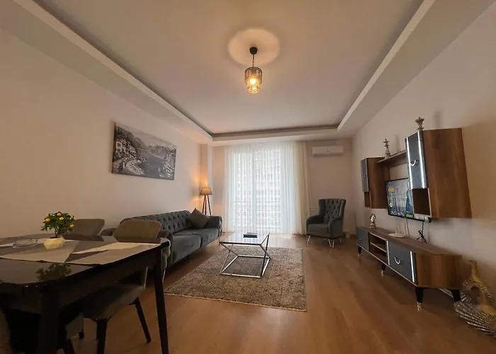 Apartment Cozy Homes 1 1 Living