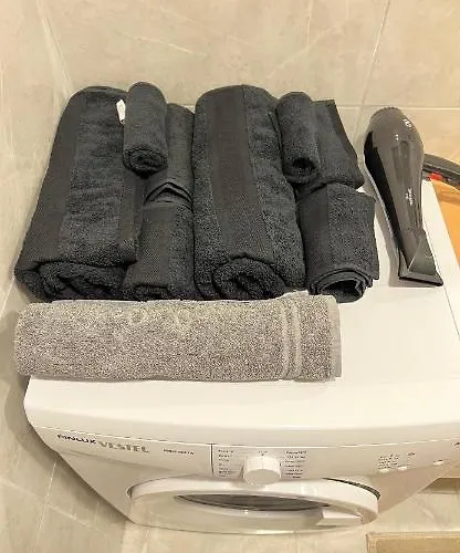 Cozy Homes 1 1 Living Apartment